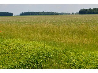Property photo 91 - LAND AUCTION - 700+/- ACRES OFFERED IN 16 TRACTS IN ALLEN COUNTY, INDIANA